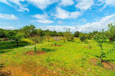 Finca i Algaida, Mallorca, Algaida - € 3.400.000 | Ref: 46674 - foto 23